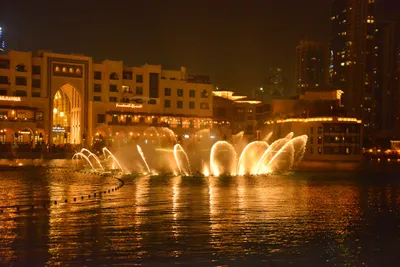 DSC_4132 (Large).JPG